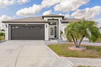 3825 Beneraid St, Land O Lakes, FL 34638