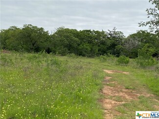 TBD County Road 423, Stockdale, TX 78160