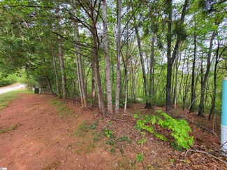 300 Laurel Valley Way, Travelers Rest, SC 29690