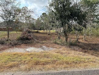 422 Texas Ave, Arcola, TX 77583