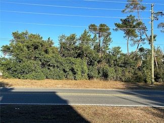 0 Deltona Blvd Unit 22 MFRS5116268, Spring Hill, FL 34606