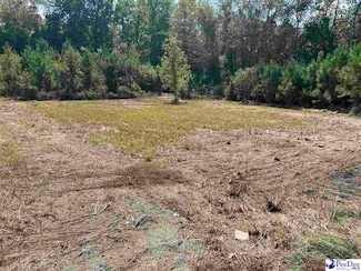 1923 S 5th St, Hartsville, SC 29550