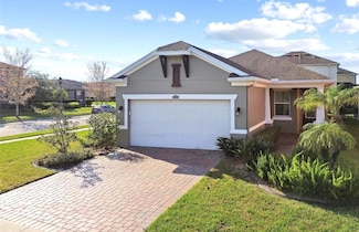 17596 Terrazzo Way, Land O Lakes, FL 34638