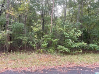 6359 Sagewood Cir, Pinson, AL 35126