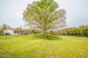 10500 Stiles Ln, Kodak, TN 37764