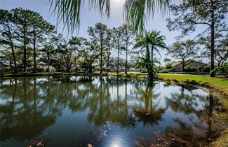 1202 Hounds Run, Safety Harbor, FL 34695