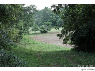 0 N Dirks Rd Unit CA174326, Newmansville Township, IL 62627