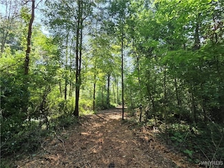 0 Carmen Rd, Barker, NY 14012