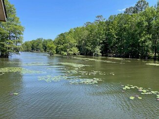 837 Stumphole Rd, Elloree, SC 29047