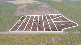 TBD Joyner Swamp Rd Unit Lot 7, Galivants Fry, SC 29544