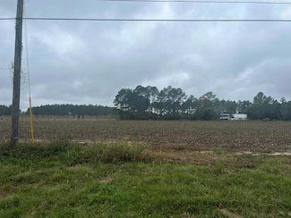 0 Adams Rd, Chula, GA 31733