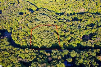 V/L Forestgrove Dr, Star Township, MI 49730