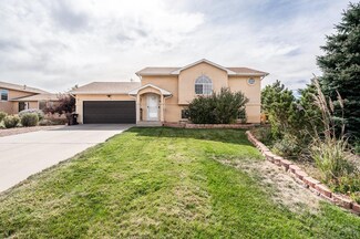 769 S Mccoy Dr, Pueblo, CO 81007