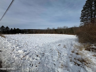 0 Reber Rd, West Buffalo Township, PA 17844