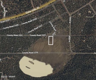 44 County Road N3321, Vernon, AZ 85940