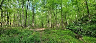 20-A Vineyard Rd SE, Dallas, GA 30120