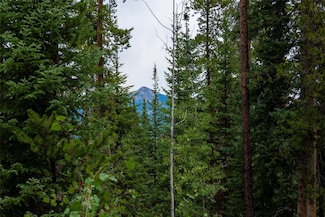 39455 Crow's Nest Rd, Clark, CO 80428