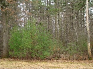 Lots 2 & 3 Clark St, Wisconsin Rapids, WI 54495
