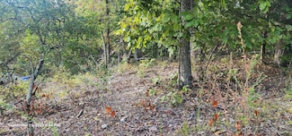 000 Mary Ave, Holladay, TN 38341