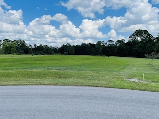 3457 Lake Diane Rd, Tavares, FL 32778