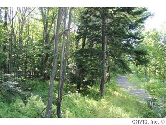 00 Rector Rd, Martinsburg, NY 13367