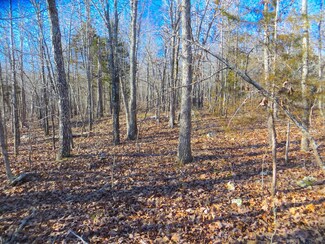 000 Walnut Grove, Mammoth Spring, AR 72554