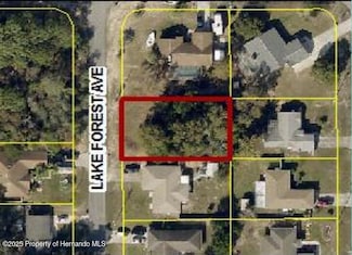 0 Lake Forest Ave, Spring Hill, FL 34609