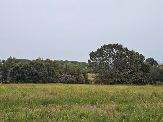 Lot 6 E 420th Rd E Unit Lot 6, Bolivar, MO 65613