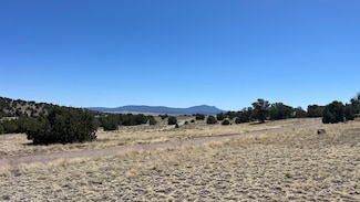 0 Golden Horseshoe Trail, Quemado, NM 87829