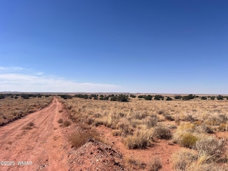 598B Hopi Ln, Snowflake, AZ 85937