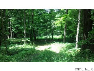 0 Bliven Rd Unit S295239, Bridgewater, NY 13313