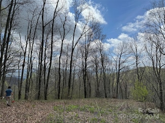 99999 Hickory Forest Rd, Fairview, NC 28730