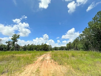 25930 Grand Pines Rd, Magnolia, TX 77355