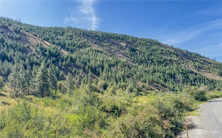 10558 Mud Creek Rd, Entiat, WA 98822