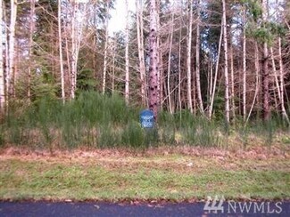 0 NE Lot 10 Broughton Ct Unit 1047334, Hansville, WA 98340