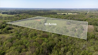55 Acres Day St, Moulton, AL 35650