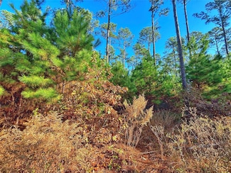 TBD Acr 157, Palestine, TX 75801