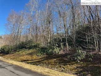 43 Linville River Dr, Linville, NC 28646