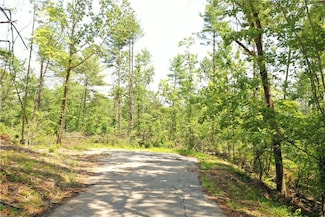 113 Sweetshrub Ct, Sunset, SC 29685