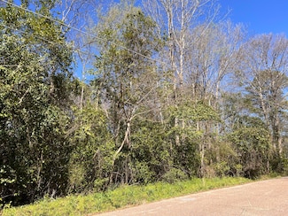 112 E 1st Ave, Petal, MS 39465