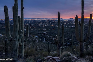 12969 E Cabeza de Vaca St Unit Lot D, Tanque Verde, AZ 85749