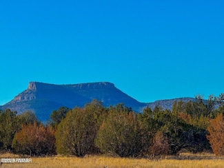 0 Johnny Ridge Rd 37 Acres, Seligman, AZ 86337