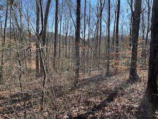 Lot 2E the Woodlands, Hayesville, NC 28904