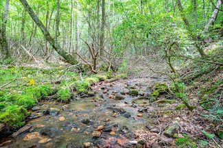 900 Burkes Hollow Rd, Willis, VA 24380