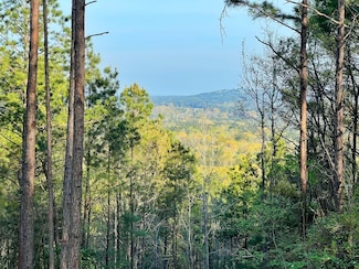 0 County Road 2107, Rusk, TX 75785