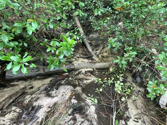 Parcel C Turkey Track St, Crestview, FL 32539