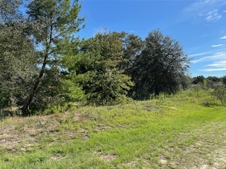 0 SW 104th St Unit MFRTB8361223, Dunnellon, FL 34432
