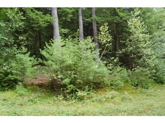 0 Patterson Hill Rd Unit 4404423, Henniker, NH 03242