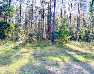 1011 Indian Lake Dr, Lake Wales, FL 33855