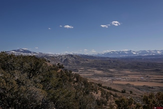 TBD Tract 2 Bostwick Park Rd, Montrose, CO 81401